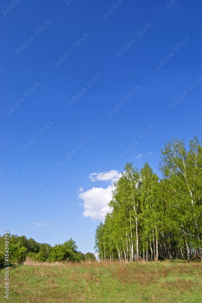 Obraz premium Fields and woods in Yasnaya Polyana, the former estate of the writer Leo Tolstoy