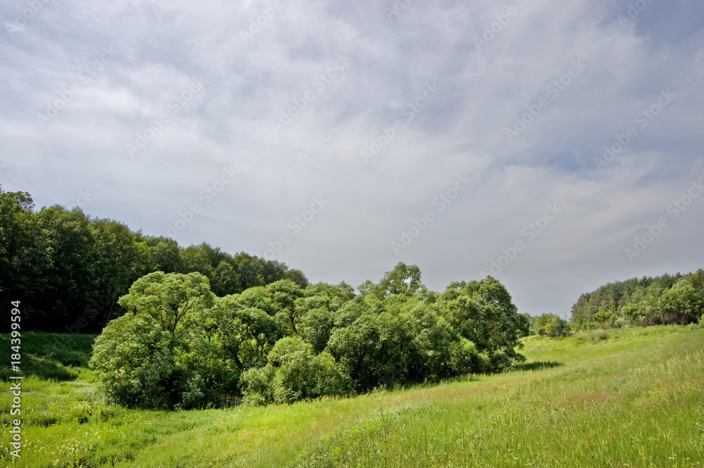 Fields and woods in Yasnaya Polyana, the former estate of the writer Leo Tolstoy Fields and woods in Yasnaya Polyana, the former estate of the writer Leo Tolstoy