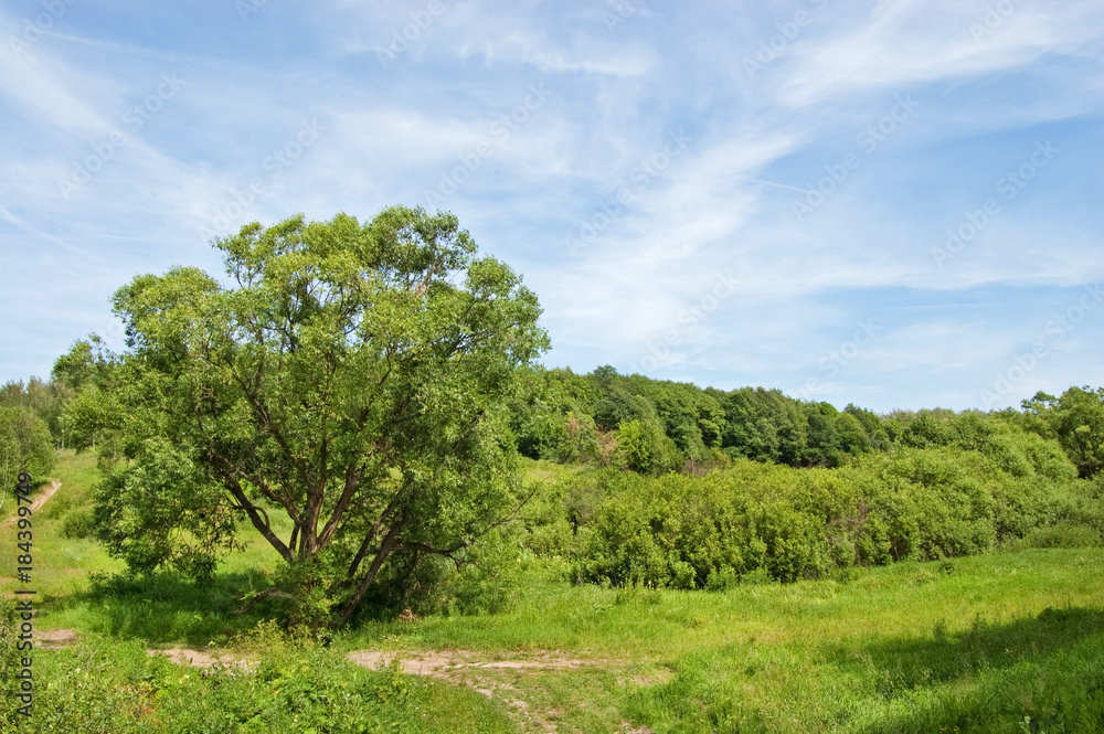 Fields and woods in Yasnaya Polyana, the former estate of the writer Leo Tolstoy Fields and woods in Yasnaya Polyana, the former estate of the writer Leo Tolstoy