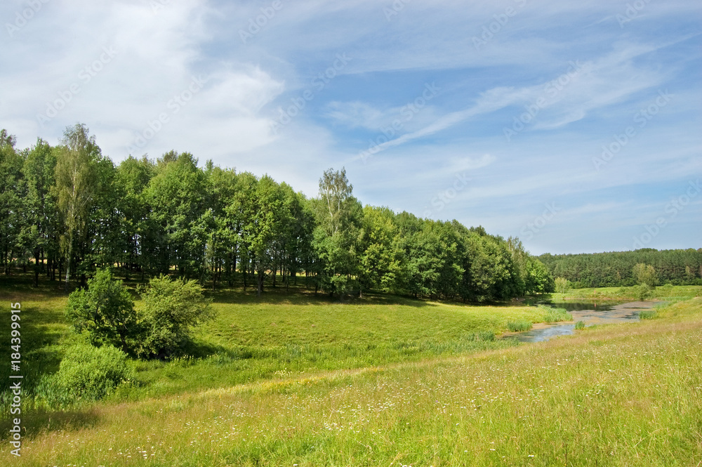 Obraz premium Fields and woods in Yasnaya Polyana, the former estate of the writer Leo Tolstoy
