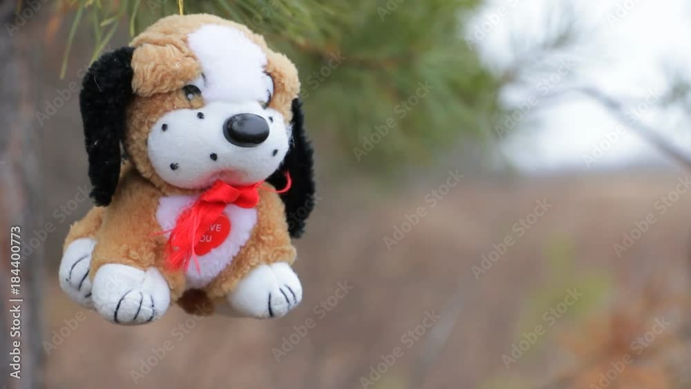 Plush dog is hanging on a pine branch and swinging by the wind. Year of the dog Plush dog is hanging on a pine branch and swinging by the wind. Year of the dog