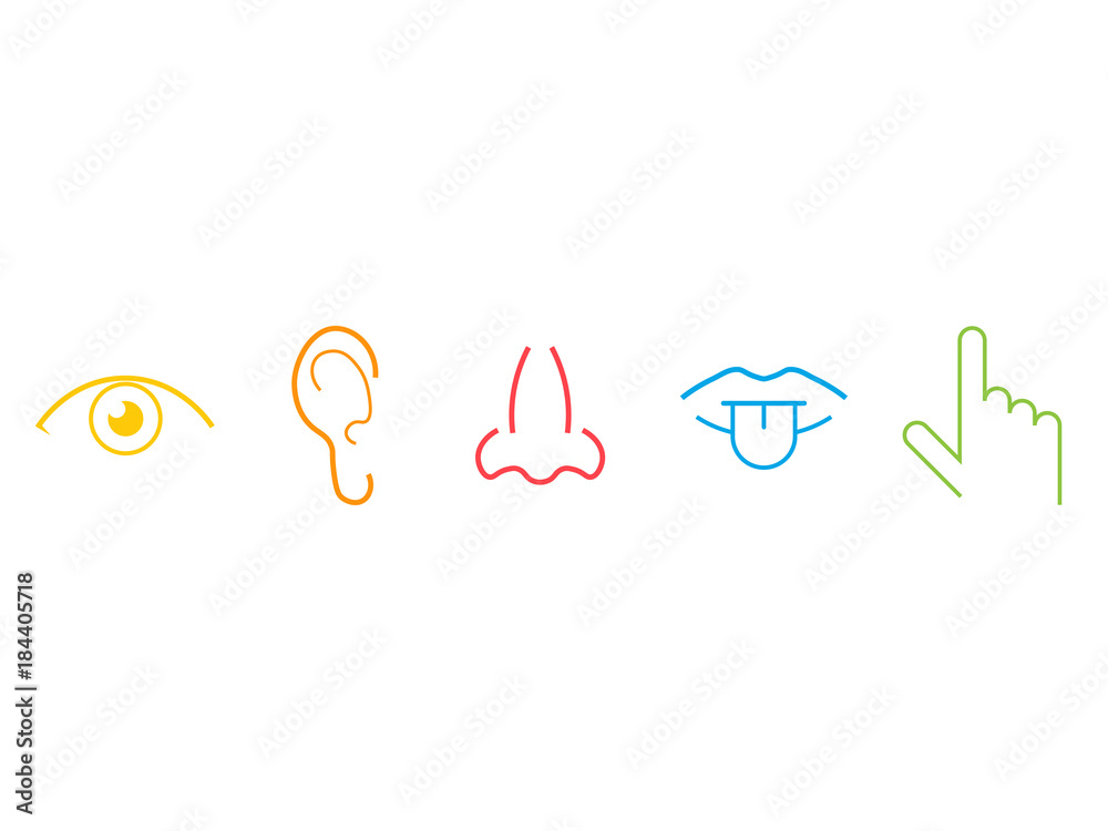 Obraz premium five senses icons
