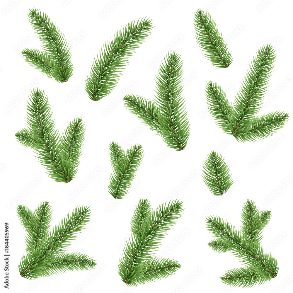 Green Fir-tree Branch Green Fir-tree Branch