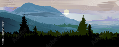 Beautiful landscape painting morning in the forest vector