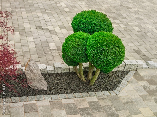 Kleiner Ziergarten mit kugelförmig geschnittenen Büschen Felsen und Betonpflaster - Small ornamental garden with spherical cut bushes, rocks and concrete pavement  photo