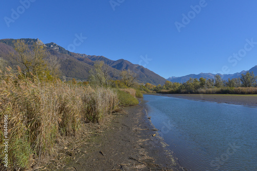 Fiume che attraversa una zona paludosa