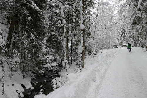 Winterwandern in den Bayerischen Voralpen