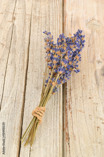 Dried flowers of lavender