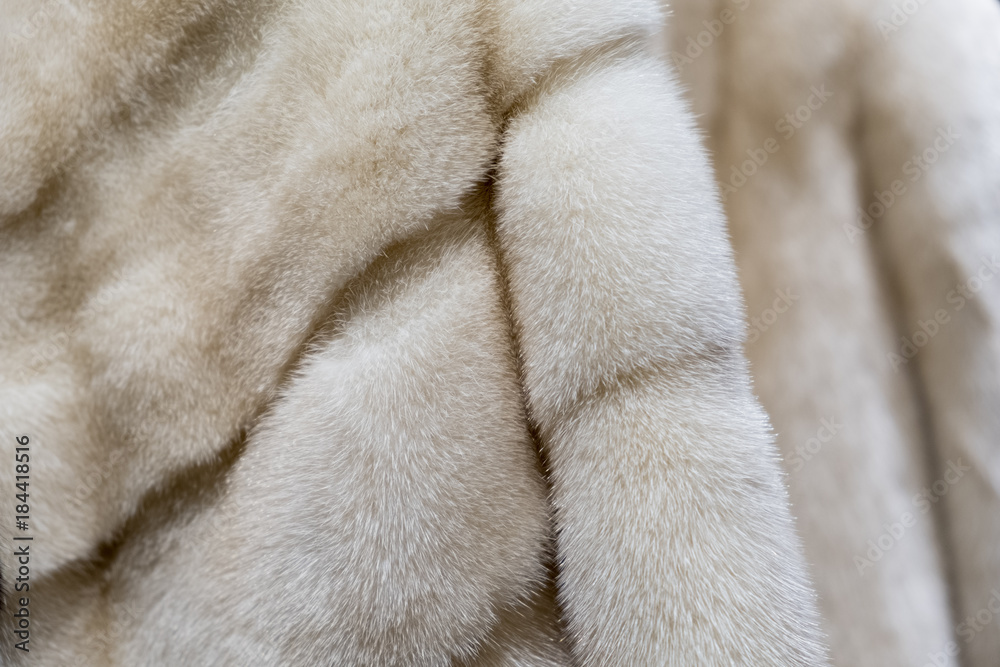 Mink coats hanging at the new fashion store Mink coats hanging at the new fashion store