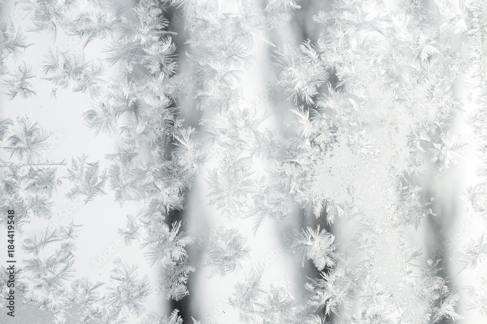 Obraz premium frozen ice crystal in detail