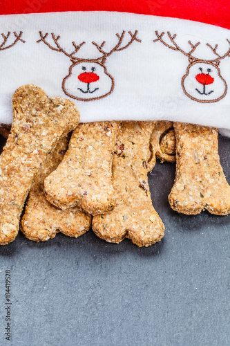 Fototapeta Naklejka Na Ścianę i Meble -  Weihnachtlich verpackte Hundekekse, makro von oben