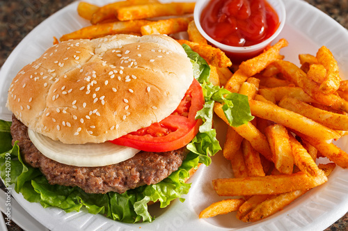 Hamburger with Spicy Fries