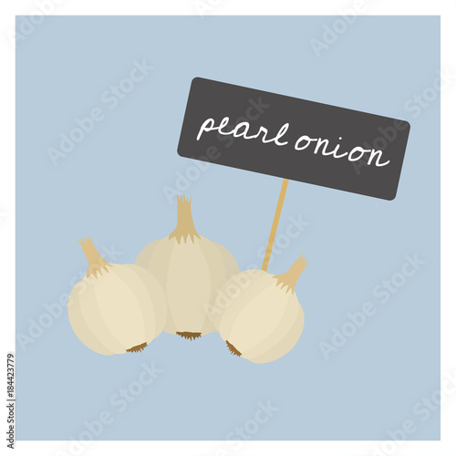 Vector Vegetable - Pearl onion