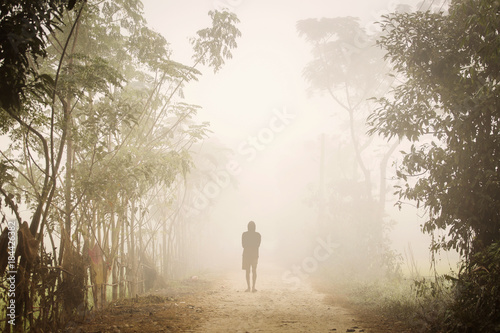 Silhouette of a man in a foggy morning in Chitwan National Park. © danmir12