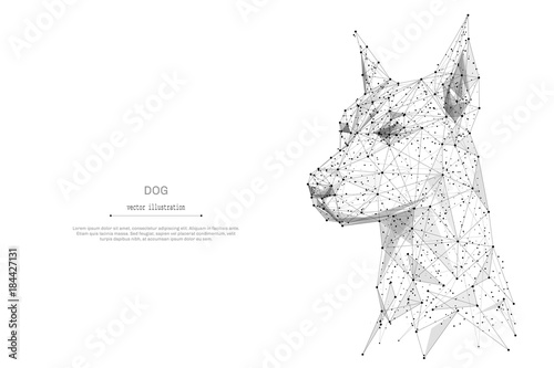 Abstract mash line and point head of the dog origami on white background with an inscription. Starry sky or space, consisting of stars and the universe. Vector illustration