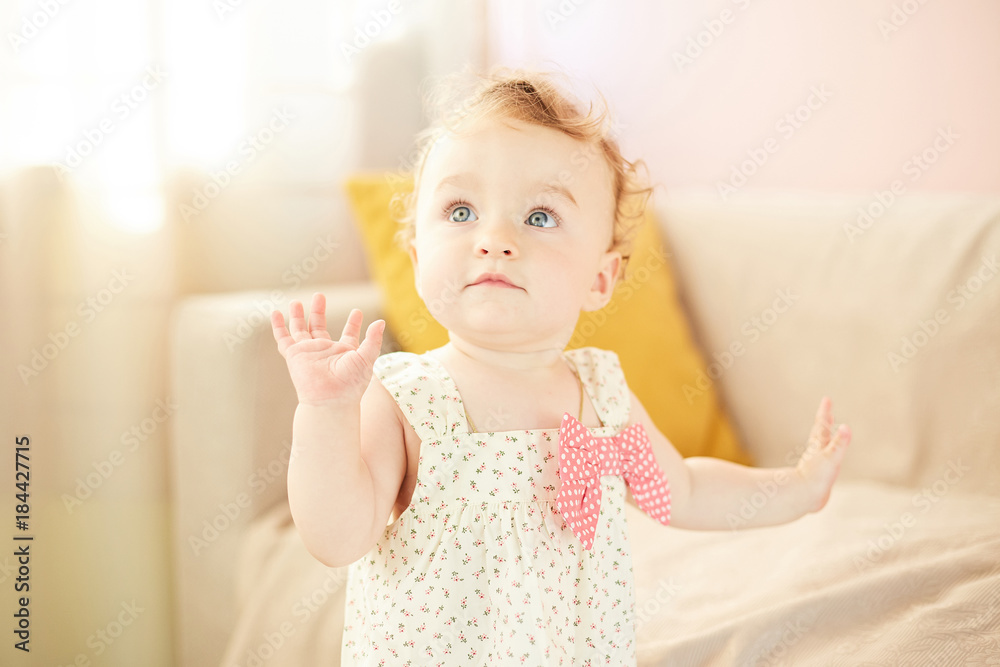 portrait of a little baby emotions portrait of a little baby emotions