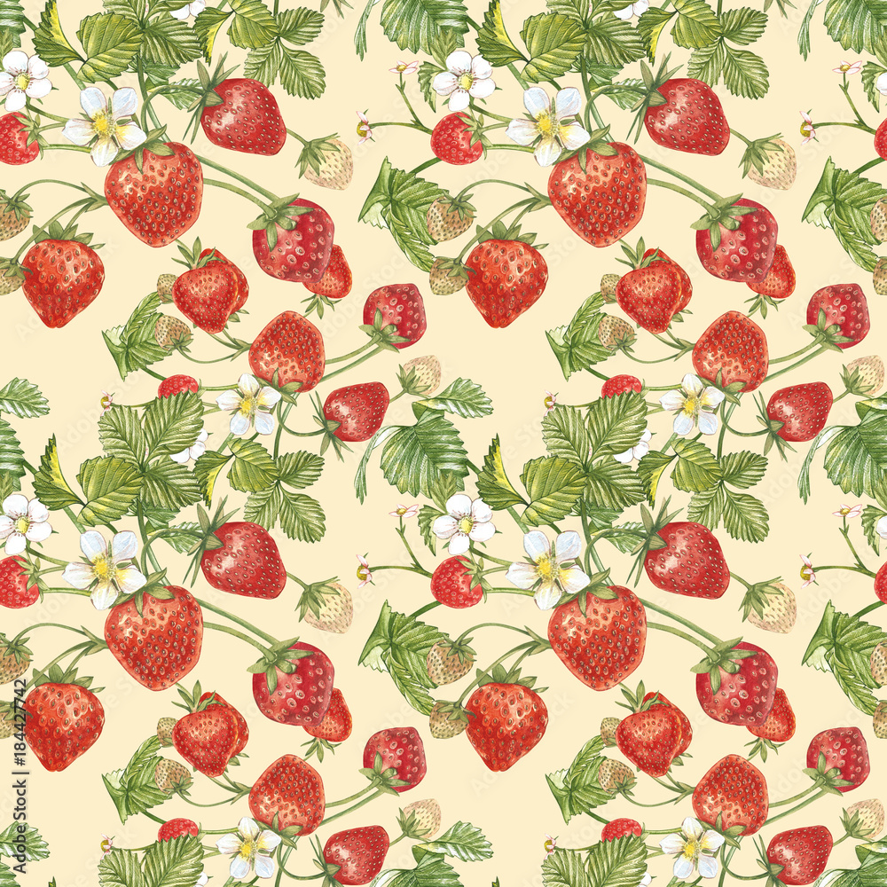 Watercolor seamless pattern with Strawberry leaves with flowers and ripe berries on white. Background design for natural cosmetics Watercolor seamless pattern with Strawberry leaves with flowers and ripe berries on white. Background design for natural cosmetics