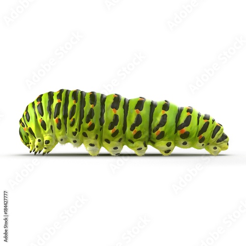 caterpillar Papilio xuthus. Isolated on white. 3D illustration