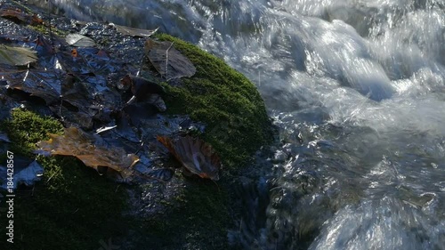 Close-up shot of water streams in a mountain creek with yellow and brown autumn leaves around. Day. Zoom photo