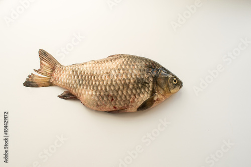 The fish is a crucian carp on a white background