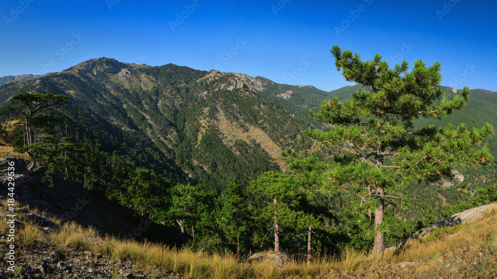 Beautiful rocky mountains landscape panoramic view