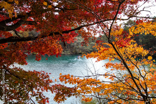 Colorful leaves of trees at the lakeside in autumn.