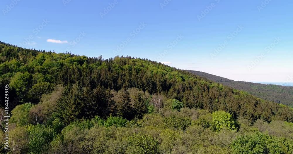 Forest from Above - Aerial view of forest. Forest from Above - Aerial view of forest.