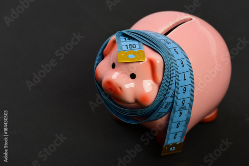 Investments and metering or counting idea. Ceramic toy pig