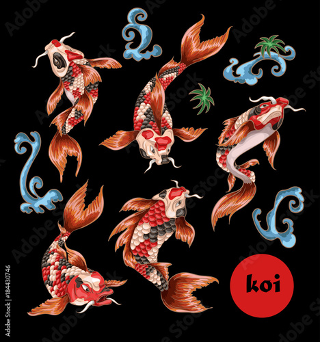 Japanese traditional carp koi for embroidery or print. Vector illustration.