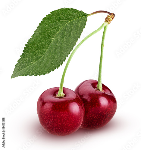 Wallpaper Mural Sweet cherry berry. Two on a branch with leaf Torontodigital.ca