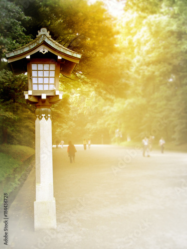 Traditional lamps along the both sidewalk with big trees on either side of the Meiji Shrine . © smilekorn