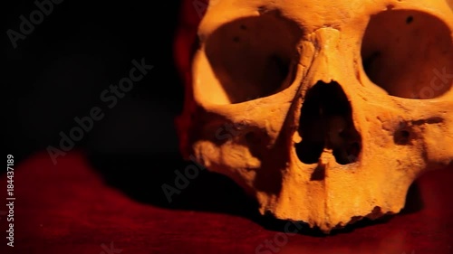 Human skull closeup, archaeology, criminology concept photo