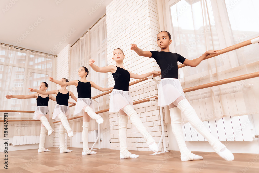 Young ballerinas rehearsing in the ballet class. Young ballerinas rehearsing in the ballet class.