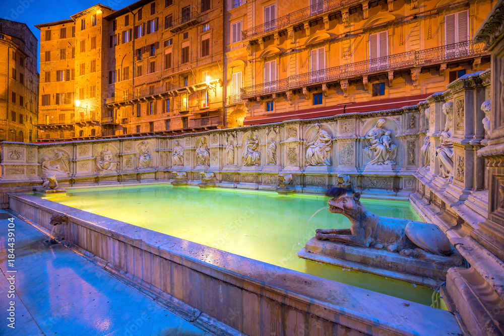 Fonte gaia, Piazza del Campo, in Siena