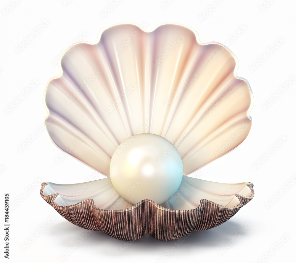 pearl shell pearl shell