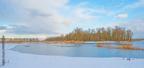 Fototapeta Naklejka Na Ścianę i Meble -  Shore of a frozen lake in a snowy field in sunlight in winter