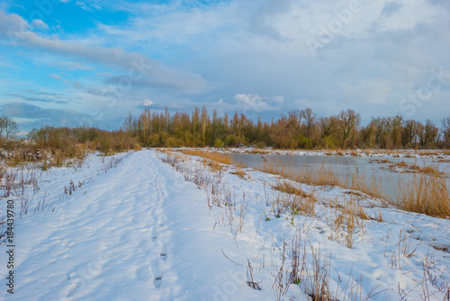 Shore of a frozen lake in a snowy field in sunlight in winter