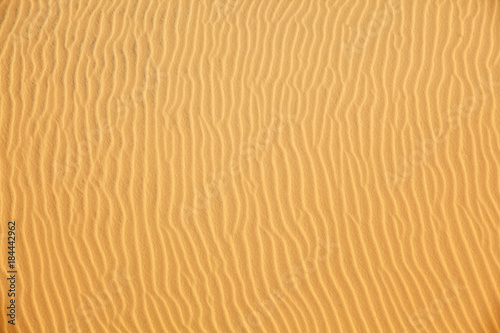 Fototapeta Naklejka Na Ścianę i Meble -  sand dune texture background