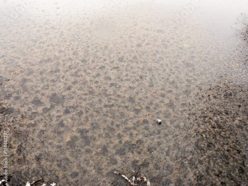 frozen over lake water surface outside winter december