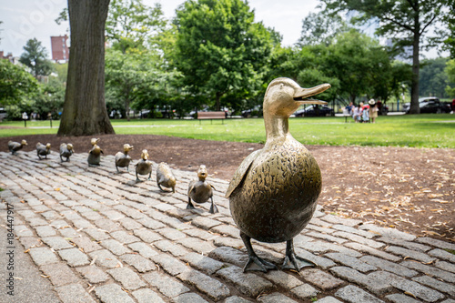 Make Way for Ducklings, Boston Public Garden photo