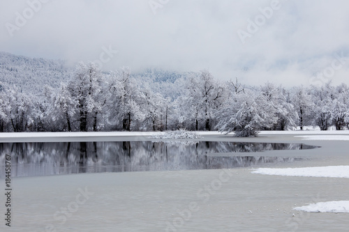 Wallpaper Mural Winter water background with beautiful reflection in the water, Planina, Slovenia Torontodigital.ca