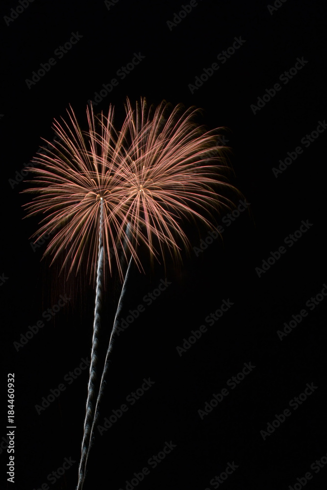 Fototapeta premium Fireworks