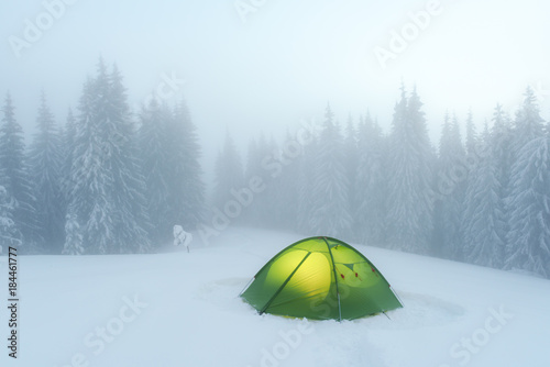 Green tent lighted from the inside by a flashlight against the backdrop of foggy pine tree forest. Amazing snowy landscape. Tourists camp in winter mountains. Travel concept