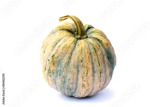 Fresh Thai green pumpkin vegetable on white backgrounds