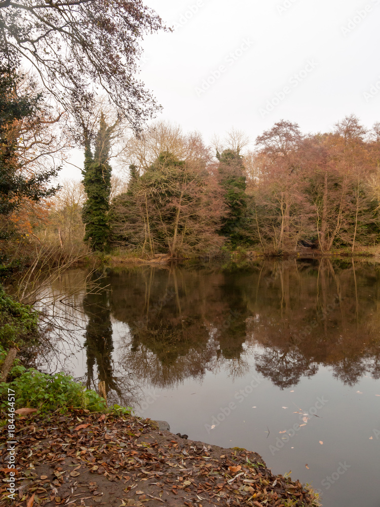 gamekeeper's pond winter autumn trees sunlight lake bare branches landscape
