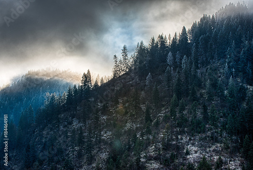 Idaho Panhandle National Forest