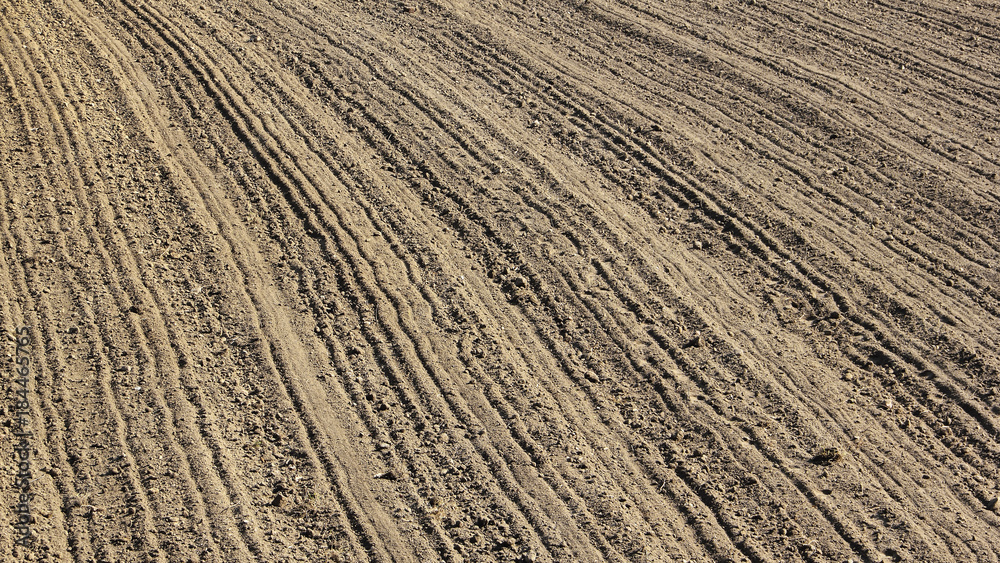 Furrows on a freshly plowed field in early spring Furrows on a freshly plowed field in early spring