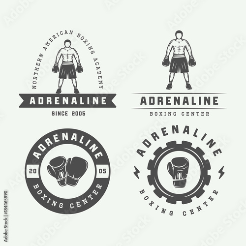 Boxing and martial arts logo badges and labels in vintage style. Vector illustration