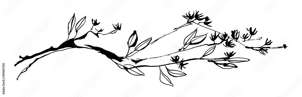 Hand drawn tree branch with leaves and flowers painted by ink. Grunge style vector illustration. Sketch black image on white background. - obrazy, fototapety, plakaty 