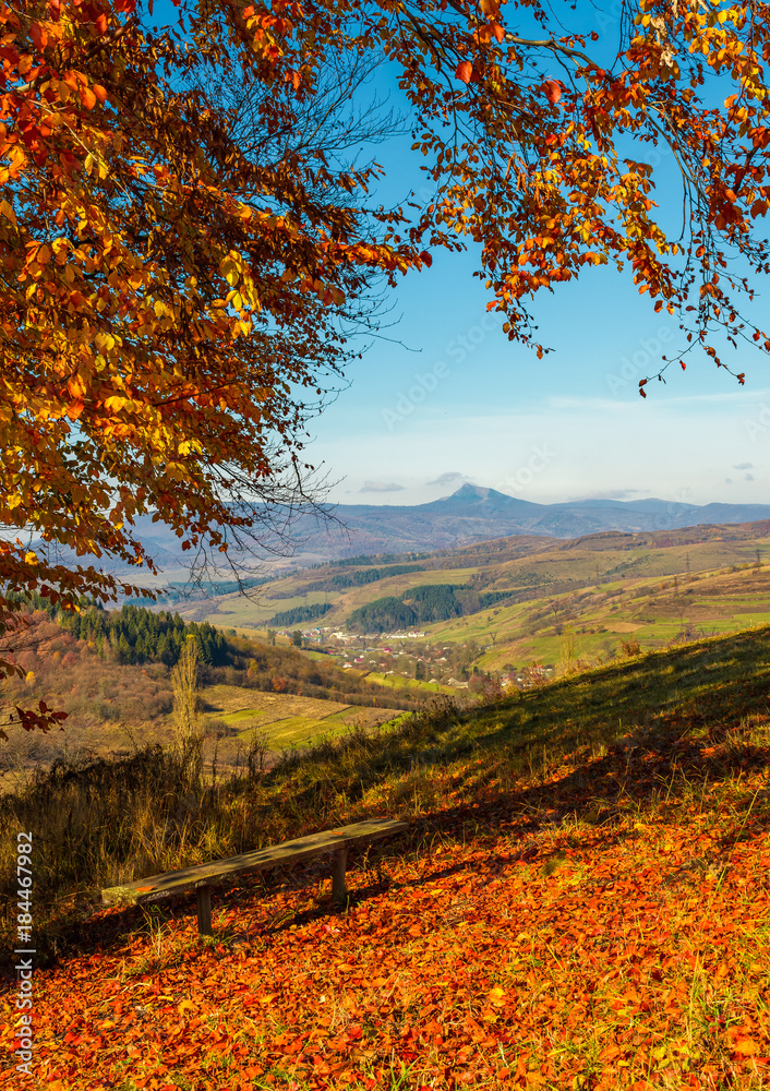 Fototapeta premium bench near tall trees with red foliage on hillside in Carpathian mountains with high peak in the distance on sunny autumn day
